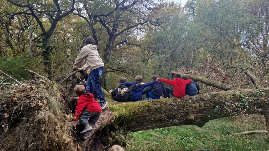 Bosque de Orgi en familia